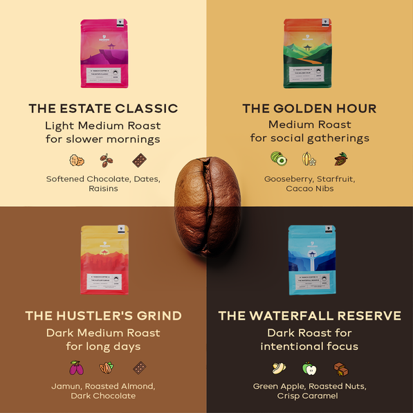 Discovery Pack