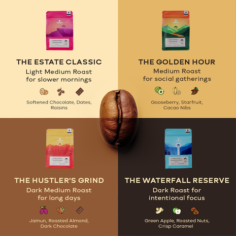 Discovery Pack